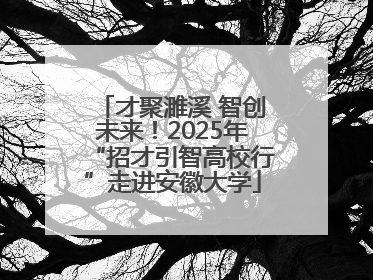 才聚濉溪 智创未来！2025年“招才引智高校行”走进安徽大学