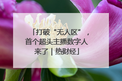 打破“无人区”，首个超头主播数字人来了｜热财经