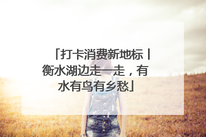 打卡消费新地标丨衡水湖边走一走，有水有鸟有乡愁