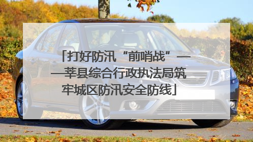 打好防汛“前哨战”——莘县综合行政执法局筑牢城区防汛安全防线