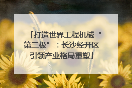 打造世界工程机械“第三极”：长沙经开区引领产业格局重塑