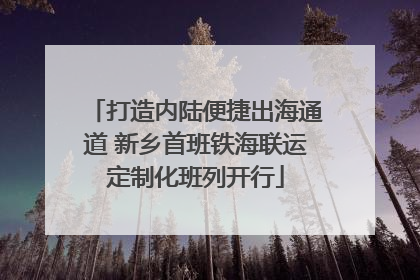 打造内陆便捷出海通道 新乡首班铁海联运定制化班列开行