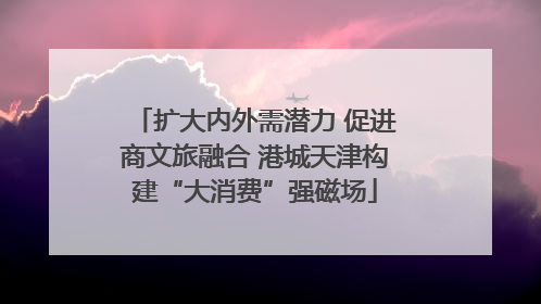 扩大内外需潜力 促进商文旅融合 港城天津构建“大消费”强磁场