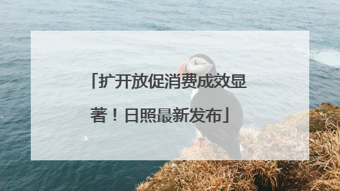 扩开放促消费成效显著！日照最新发布
