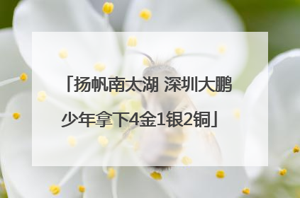 扬帆南太湖 深圳大鹏少年拿下4金1银2铜