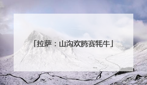 拉萨：山沟欢腾赛牦牛