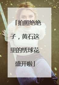 拍照绝绝子，黄石这里的绣球花盛开啦