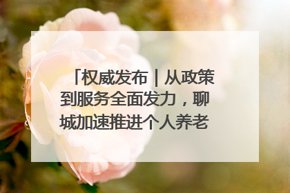 权威发布｜从政策到服务全面发力，聊城加速推进个人养老金制度落地