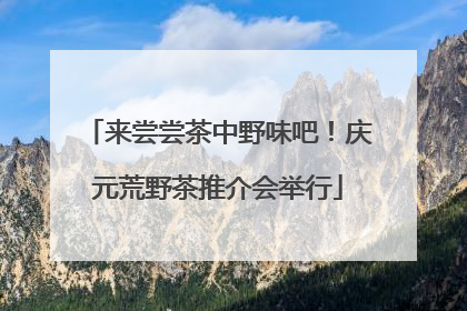 来尝尝茶中野味吧！庆元荒野茶推介会举行