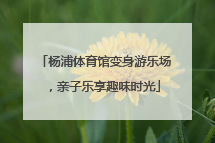 杨浦体育馆变身游乐场，亲子乐享趣味时光