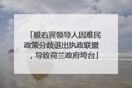 极右翼领导人因难民政策分歧退出执政联盟，导致荷兰政府垮台