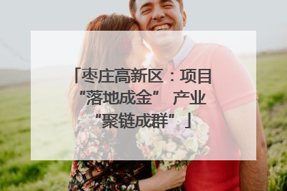 枣庄高新区：项目“落地成金” 产业“聚链成群”