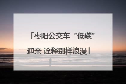 枣阳公交车“低碳”迎亲 诠释别样浪漫