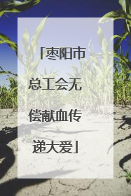 枣阳市总工会无偿献血传递大爱