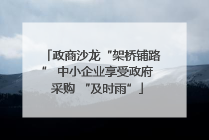 政商沙龙“架桥铺路” 中小企业享受政府采购 “及时雨”
