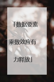 数据要素乘数效应有力释放