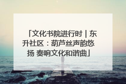 文化书院进行时｜东升社区：葫芦丝声韵悠扬 奏响文化和谐曲