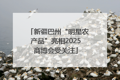 新疆巴州“明星农产品”亮相2025商博会受关注