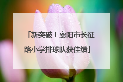 新突破！襄阳市长征路小学排球队获佳绩