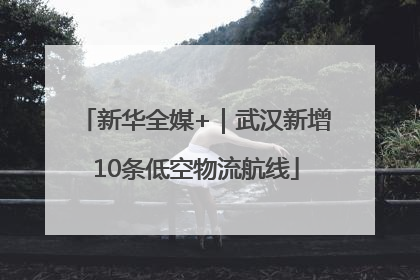 新华全媒+｜武汉新增10条低空物流航线