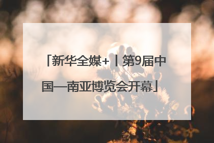 新华全媒+丨第9届中国—南亚博览会开幕