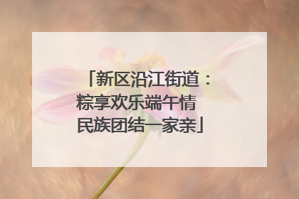 新区沿江街道：粽享欢乐端午情 民族团结一家亲
