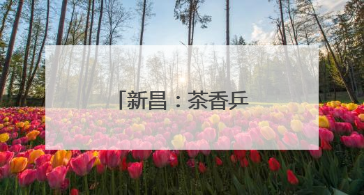 新昌：茶香乒乓，双赛联动赋能乡村振兴