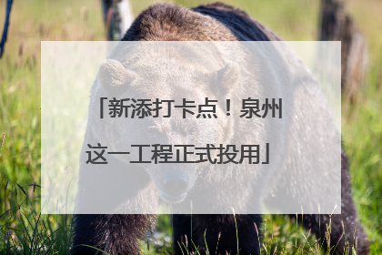 新添打卡点！泉州这一工程正式投用
