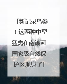 新记录鸟类！这两种中型猛禽在南滚河国家级自然保护区现身了
