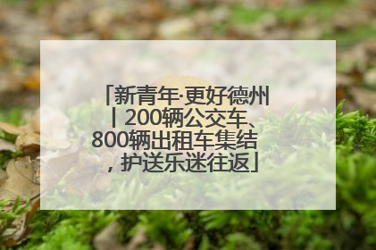 新青年·更好德州丨200辆公交车、800辆出租车集结，护送乐迷往返