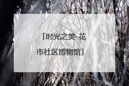 时光之美-花市社区博物馆