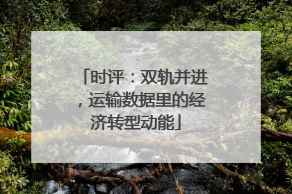 时评：双轨并进，运输数据里的经济转型动能