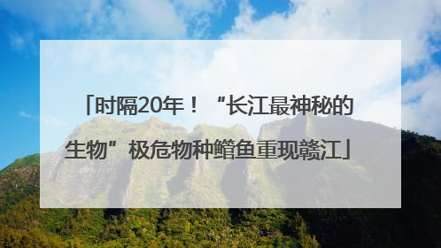 时隔20年！“长江最神秘的生物”极危物种鳤鱼重现赣江