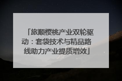 旅顺樱桃产业双轮驱动：套袋技术与精品路线助力产业提质增效