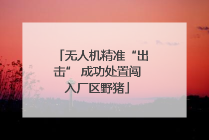 无人机精准“出击” 成功处置闯入厂区野猪