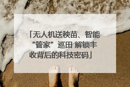 无人机送秧苗、智能“管家”巡田 解锁丰收背后的科技密码