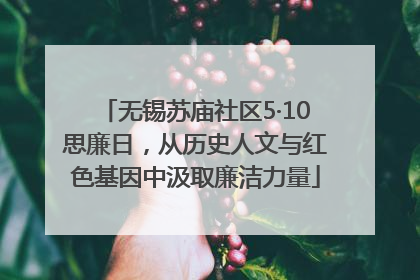 无锡苏庙社区5·10思廉日，从历史人文与红色基因中汲取廉洁力量