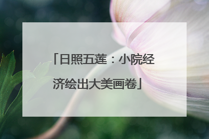 日照五莲：小院经济绘出大美画卷
