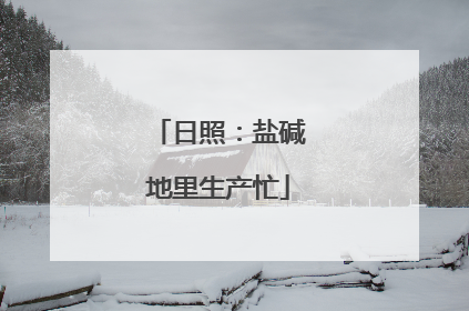 日照：盐碱地里生产忙