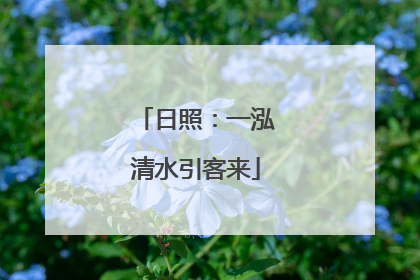 日照：一泓清水引客来