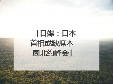 日媒：日本首相或缺席本周北约峰会