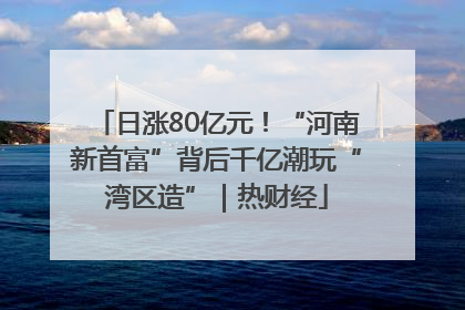 日涨80亿元！“河南新首富”背后千亿潮玩“湾区造”｜热财经