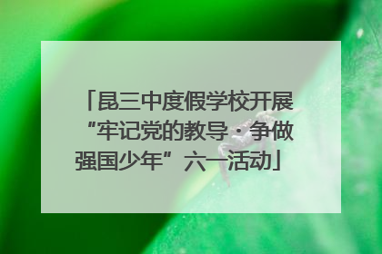 昆三中度假学校开展“牢记党的教导・争做强国少年”六一活动