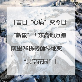 昔日“心病”变今日“新景”！东高地万源南里26栋楼前绿地变“共享花园”