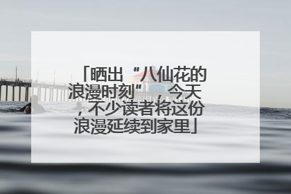晒出“八仙花的浪漫时刻”，今天，不少读者将这份浪漫延续到家里