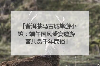 普洱茶马古城旅游小镇：端午国风盛宴邀游客共赏千年民俗