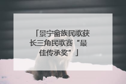 景宁畲族民歌获长三角民歌赛“最佳传承奖”