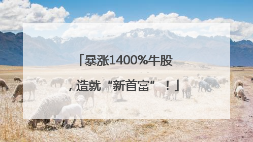 暴涨1400%牛股，造就“新首富”！