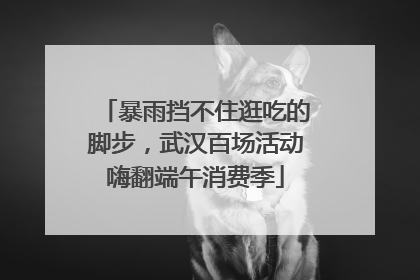 暴雨挡不住逛吃的脚步，武汉百场活动嗨翻端午消费季