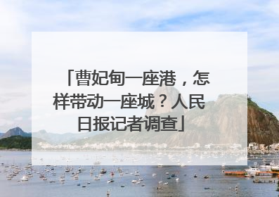 曹妃甸一座港，怎样带动一座城？人民日报记者调查